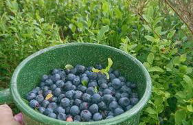 Ferienwohnung Sonnenblick und Relax - Foto 28