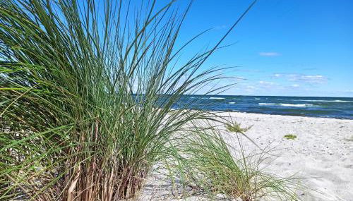 Ferienhaus Pippa in Kappeln an der Schlei - Foto 2