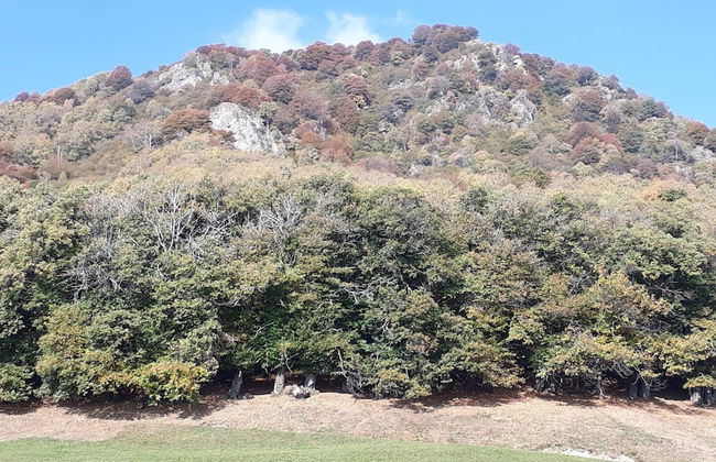 Casa Hürlimann Erholung Im Malcantone - Photo 57