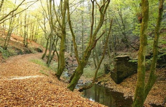 Apartment in Mtsrz With Garden - Foto 12