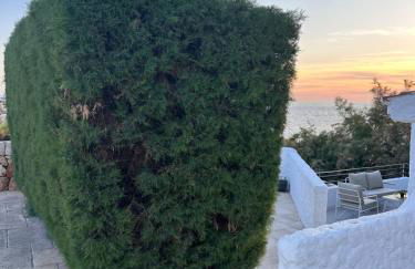 First line with ocean views - Photo 44