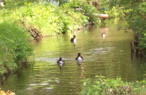 Aparthotel Grabner - Foto 39