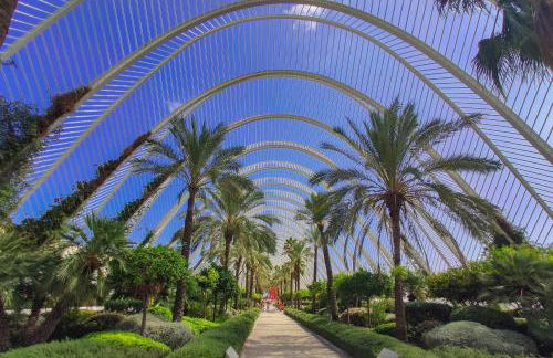 APARTAMENTOS CIUDAD DE LAS ARTES Y LAS CIENCIAS - Foto 36