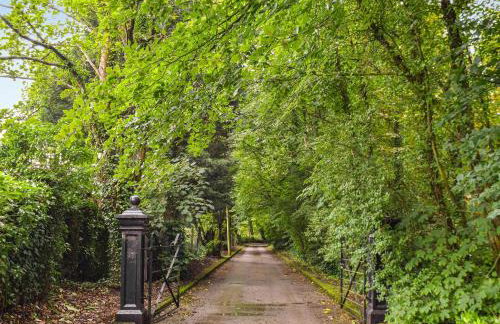 Court House - Foto 16