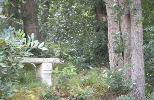Gîte Acellu - Foto 38