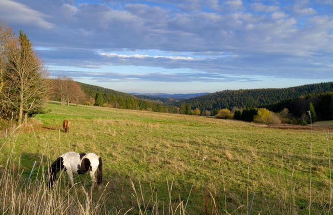 Cozy Holiday Home in Großbreitenbach near Schwarza Valley - Foto 30