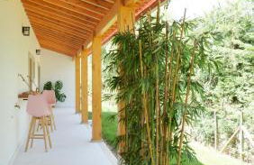 Casa Jasmim, Quinta Carmo - Alcobaça/Nazaré - Foto 5