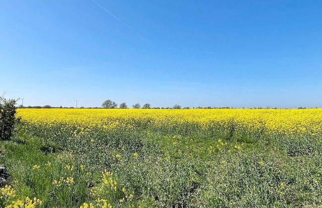 4 Person Holiday Home in Kopingsvik - Foto 13