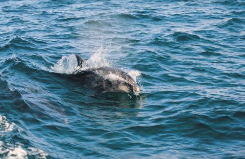 2 Bed in Cardigan oc-26677 - Foto 14