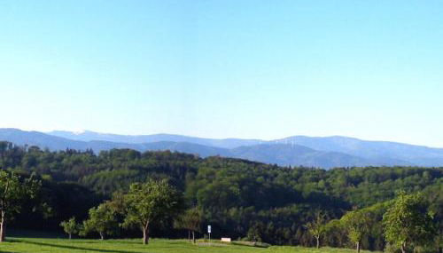 Tinyhaus Adam - Foto 5