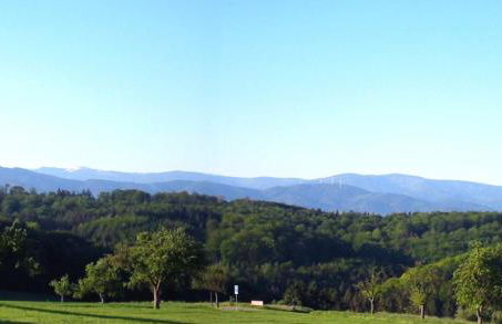 Tinyhaus Adam - Foto 5