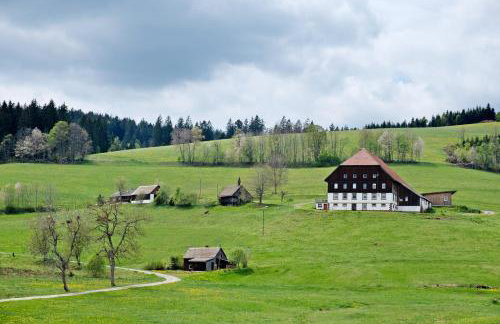 Rutscherhof Breitnau - Photo 31