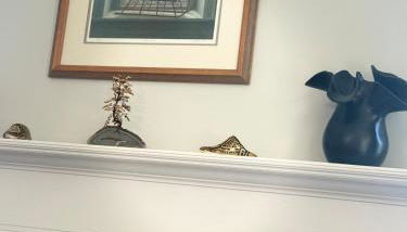 Winston Salem Gem Convenient 4 Bedroom and 2 baths - Foto 5