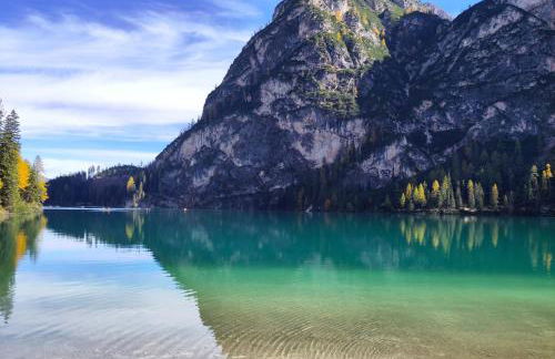 Stacherhof - Photo 50