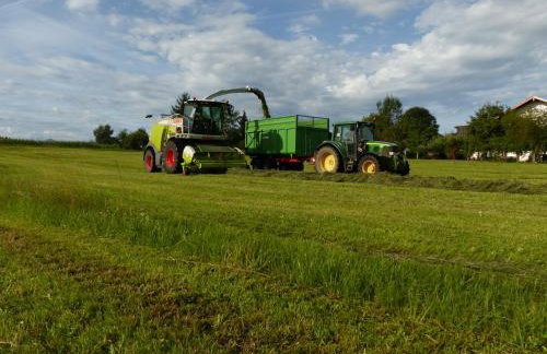 Schauerhof - Photo 20