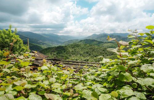 The Terrace of Cerese-private parking and garden - Foto 1
