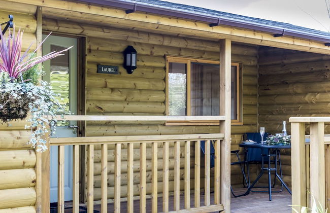 Laurel Lodge - Log Cabin - St Florence - Foto 27