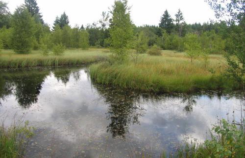 Ferienwohnung Palm - Foto 34