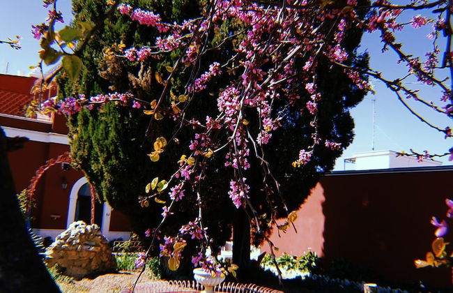 Airport Rooms Bari - Foto 23