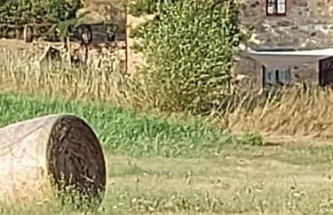 Molino della Tuoma - Foto 47