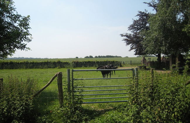 Welcoming Apartment near Town Center in Mesch - Foto 25