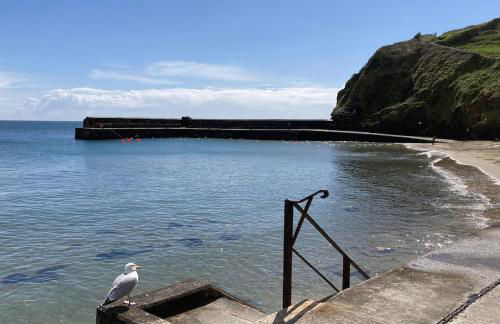 Kittiwake Retreat, a luxury escape by the sea! - Foto 34