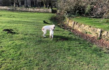 The Old Bank Beautiful Cotswold House with Huge Garden - Photo 43