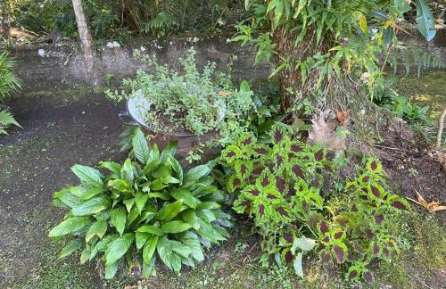 Casa Paraíso - Cond Costa do Sol- Bertioga - Foto 23