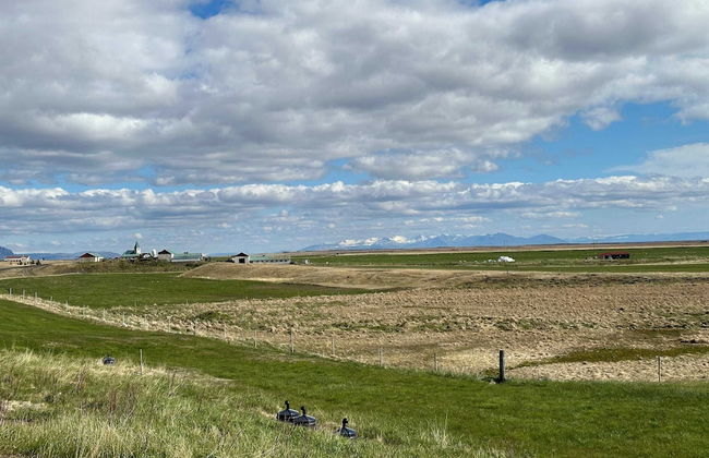 Eiðhús Apartments - Foto 20