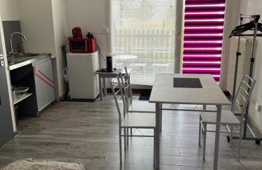 Logement type studio 1 piece proche zénith - Foto 13