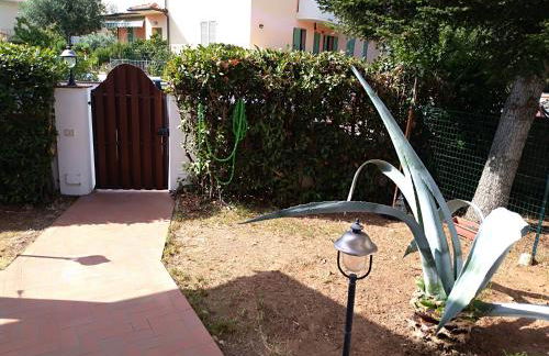 Monolocale x 2 a 1,6 km da Castiglioncello - Foto 46