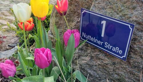 Ferienhof von Hammel Ferienwohnung mit Schlafzimmer 2 - Foto 3