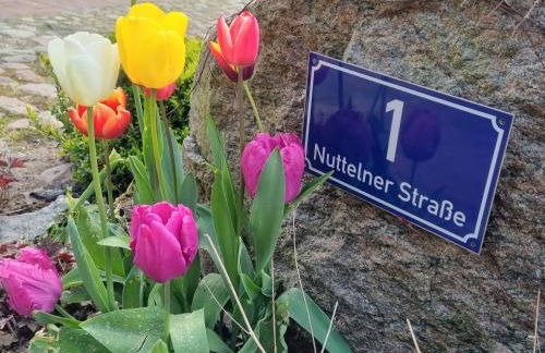 Ferienwohnung, Schlafzimmer 2 - Foto 7