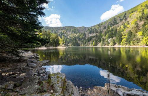 Chez Michèle et Philippe - Foto 13