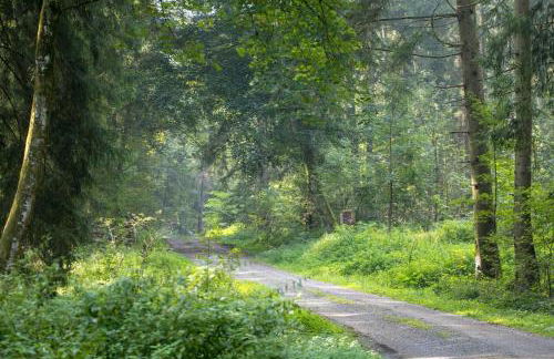 Apartment im Luftkurort Kißlegg, frisch renoviert, Balkon, Boxspringbetten, SmartTV, Playstation, Kaffevollautomat, ruhig, familienfreundlich - Foto 7