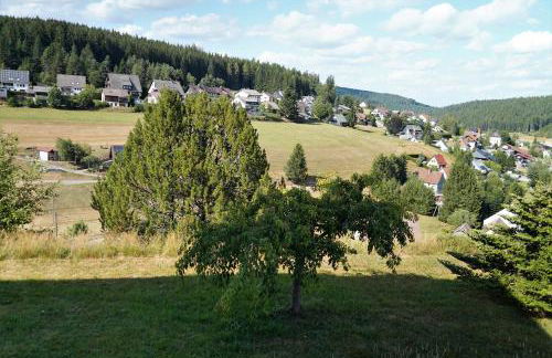 Schwarzwaldblick - Foto 29