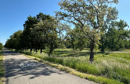 SOLAPART Apartamenty - Photo 20