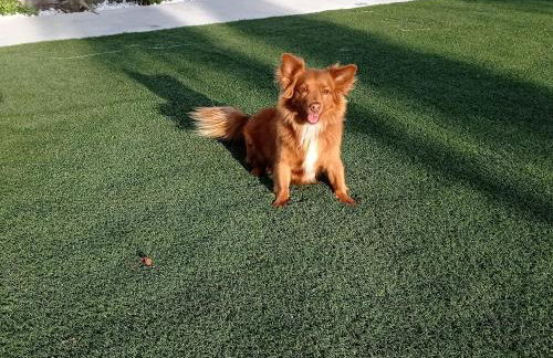 La de Simón - Foto 62