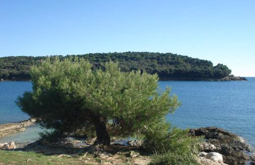 Holiday Home Julia - Foto 22