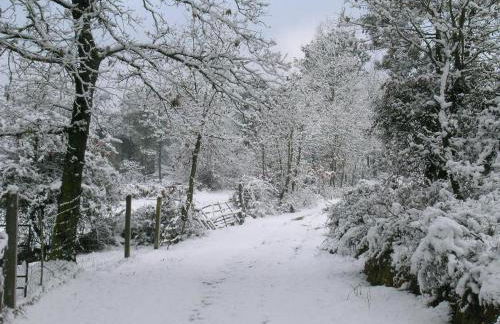 Quinta dos Carvalhais - Serra da Estrela - Foto 59