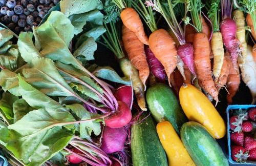 Luxury Farm Stay-Bonds Corner Bungalow-Wolf Pine Hollow - Foto 71