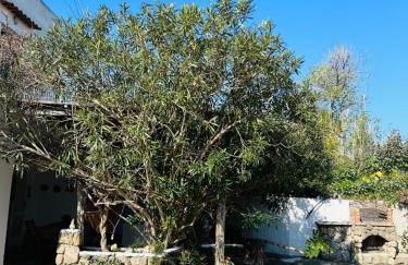 Cinque Tomoli - Foto 5