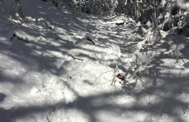 Appartamento Turistico Dal Morino - Foto 24