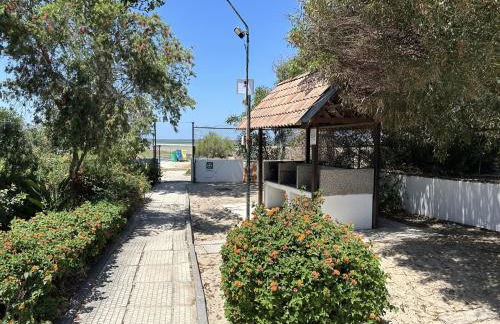 Orbitur Ilha de Armona - Foto 26