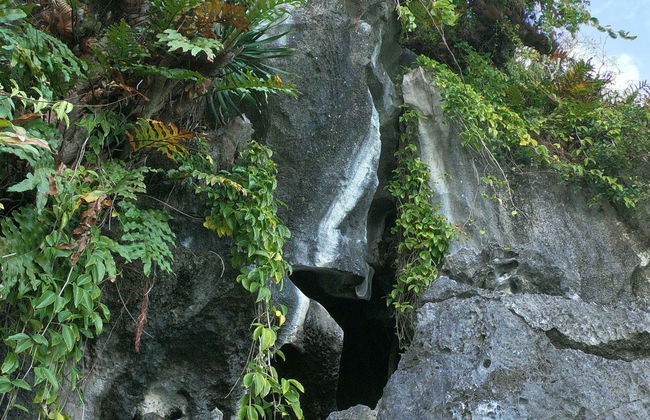 El Nido Caves Boat Tour - Foto 1