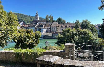 Panorama-Wohnung in Laufenburg mit Carport und Bahn-Bus-gratis KONUS - Foto 15