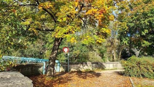Cité de la Gastronomie - Foto 5