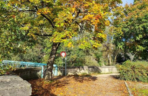 Cité de la Gastronomie - Photo 5