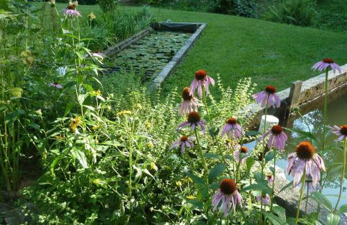 Nantahala Spiritual Retreat - Remote and Peaceful! - Foto 26