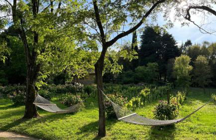 Quinta da Mata de Baixo - Foto 6